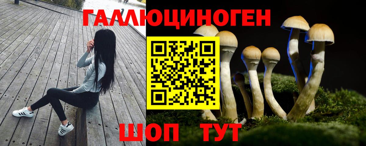 Галлюциногенные грибы MAGIC MUSHROOMS  Вход с VPN  Галлюциногенные грибы GOLDEN TEACHER  Долгопрудный 